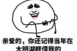 涟源专业讨债公司有哪些核心服务？